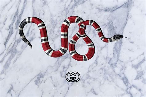 gucci snakes wallpaper|gucci snake logo background.